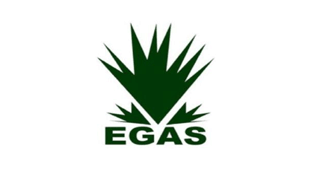 EGAS to Import 120 LNG Cargoes in 2017